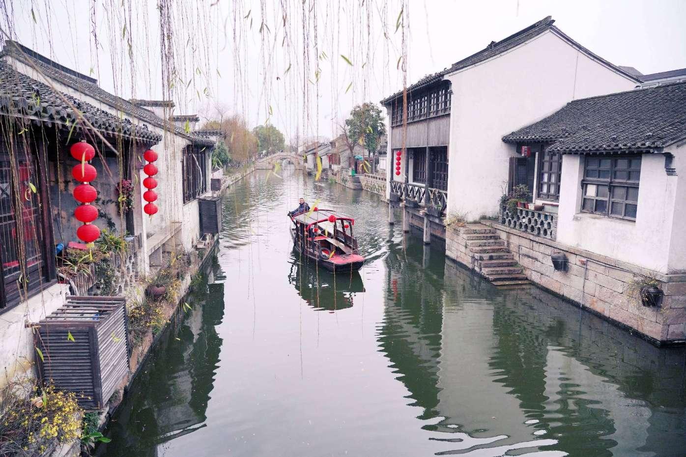 可爱的小考拉